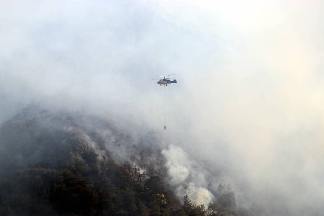 AFAD tek tek açıkladı: Orman yangınlarının çıkış nedeni belli oldu 7