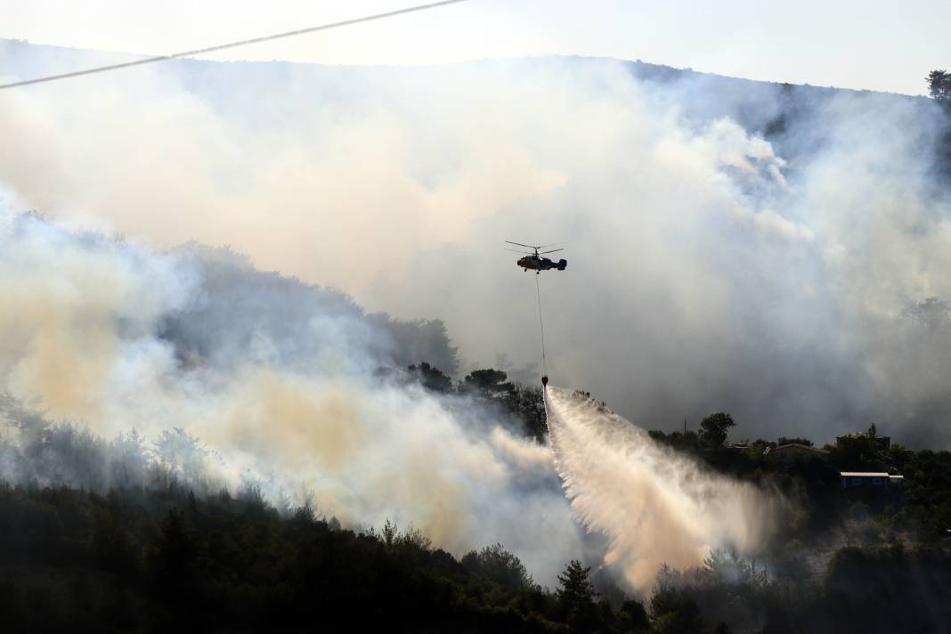 AFAD tek tek açıkladı: Orman yangınlarının çıkış nedeni belli oldu 14