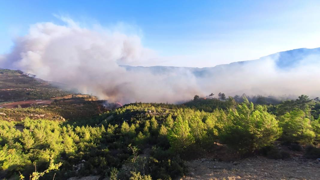 AFAD tek tek açıkladı: Orman yangınlarının çıkış nedeni belli oldu 8