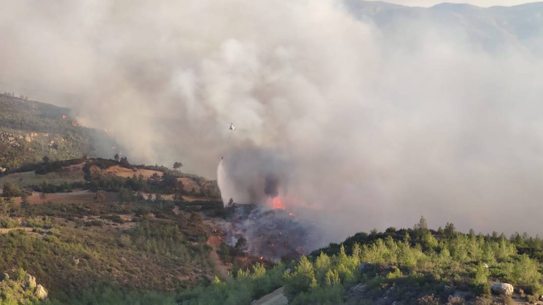 AFAD tek tek açıkladı: Orman yangınlarının çıkış nedeni belli oldu 11