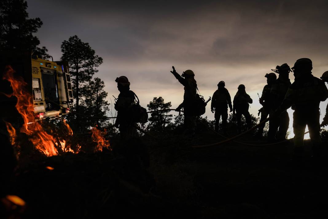 AFAD tek tek açıkladı: Orman yangınlarının çıkış nedeni belli oldu 16