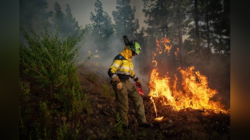 AFAD tek tek açıkladı: Orman yangınlarının çıkış nedeni belli oldu 9