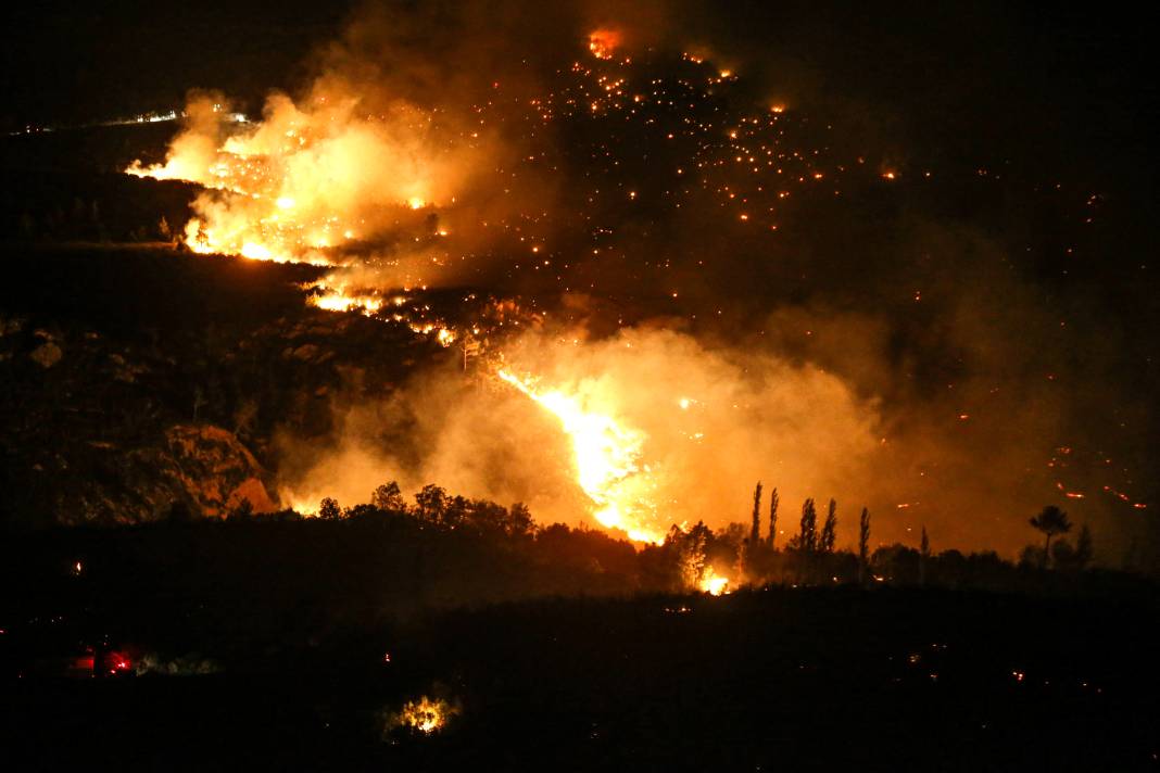AFAD tek tek açıkladı: Orman yangınlarının çıkış nedeni belli oldu 2