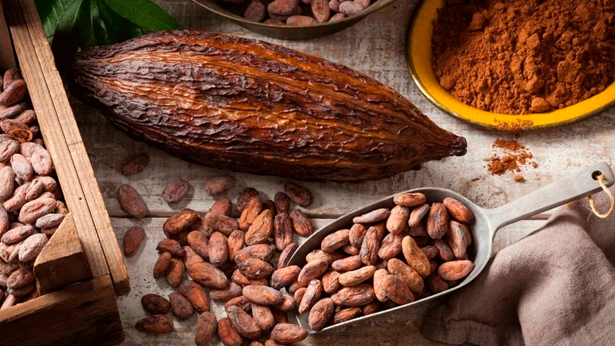 Çikolatanın da tadı kaçtı: Kakao fiyatları tarihi zirvede 5