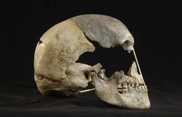45 bin yıl önce ölen kadın hayata döndürüldü: Korkunç detay ortaya çıktı 5