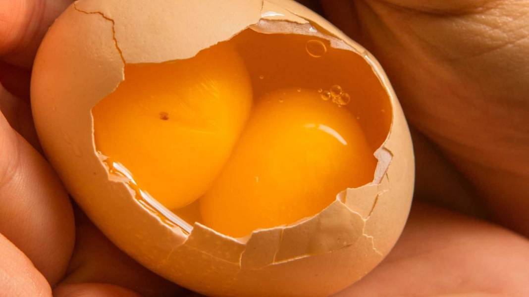 Yumurtadaki kan lekesine dikkat! Lekeli yumurta yenir mi?  İşte tüm  ayrıntılar 6