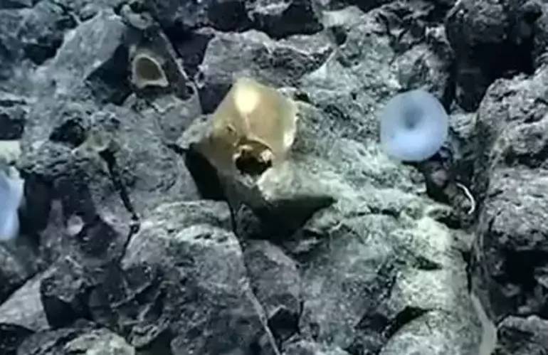Okyanusun dibinde esrarengiz altın küre bulundu! Uzaylılara mı ait? Bilim dünyası şokta 10