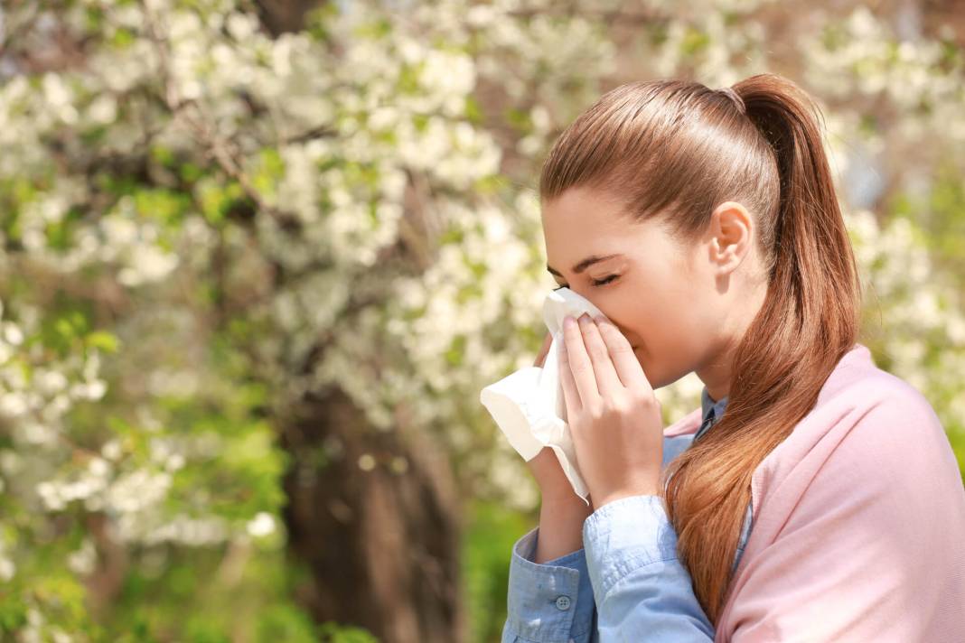 Küresel ısınmanın neden olduğu alerjiler nelerdir? 4