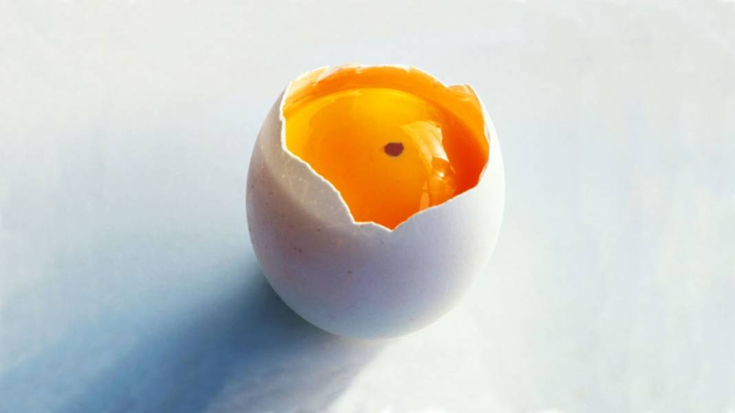 Yumurtadaki kan lekesine dikkat! Lekeli yumurta yenir mi?  İşte tüm  ayrıntılar 4