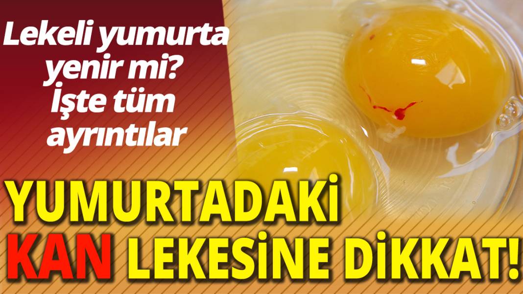 Yumurtadaki kan lekesine dikkat! Lekeli yumurta yenir mi?  İşte tüm  ayrıntılar 1