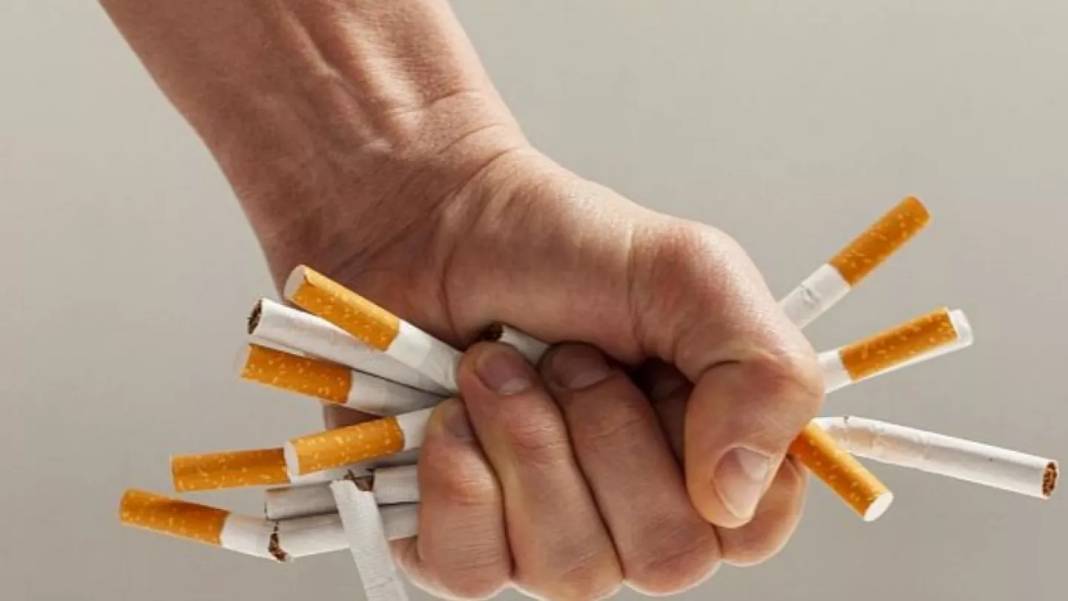 Kiracılar bu araştırmaya çok şaşıracak: Sigara bile daha masummuş 10