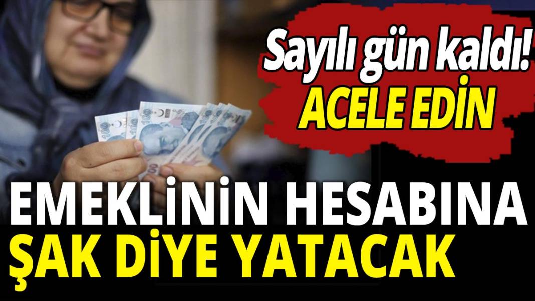 Emeklinin hesabına şak diye yatacak! Sayılı gün kaldı acele edin 1