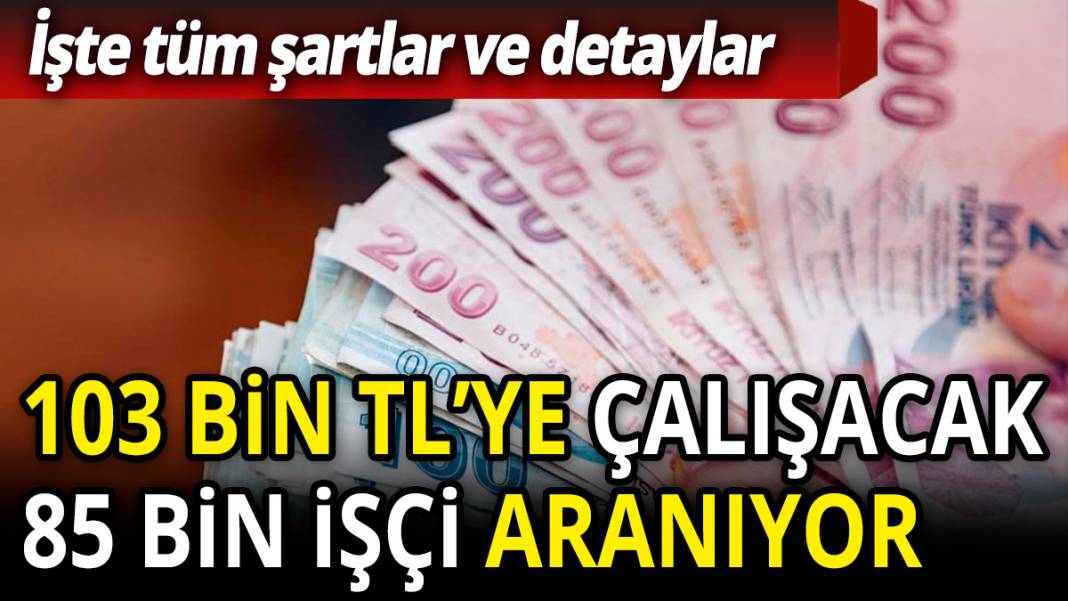 103 bin TL'ye çalışacak 85 bin işçi aranıyor! İşte tüm şartlar ve detaylar... 1