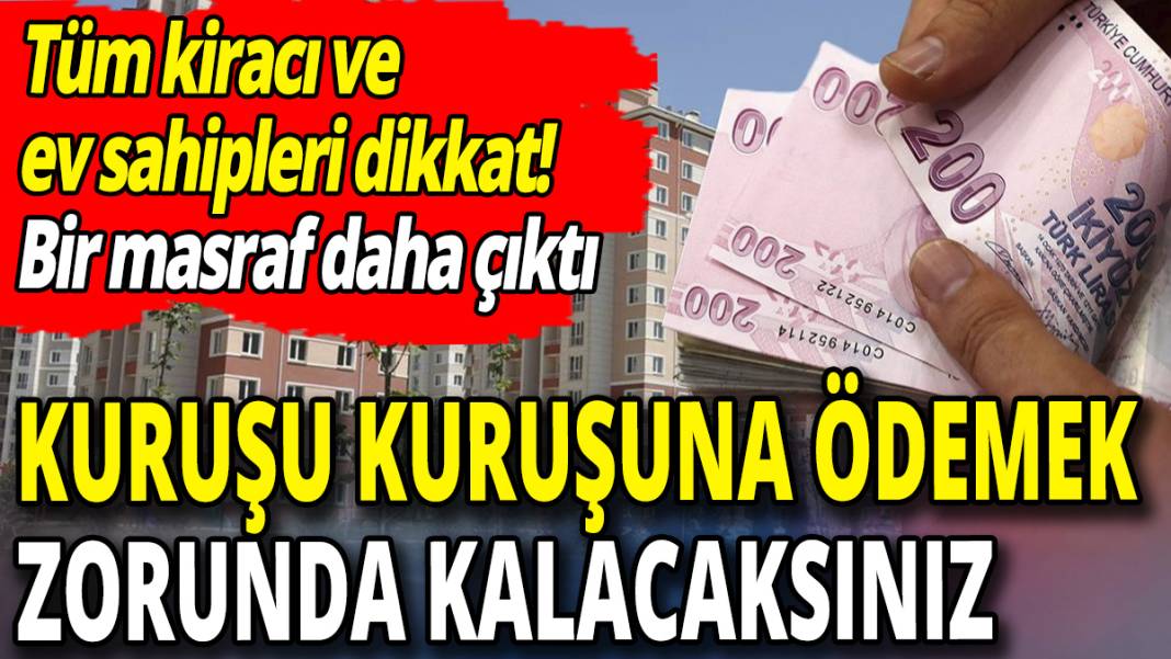 Kuruşu kuruşuna ödemek zorunda! Kiracı ve ev sahiplerine bir masraf daha çıktı 1