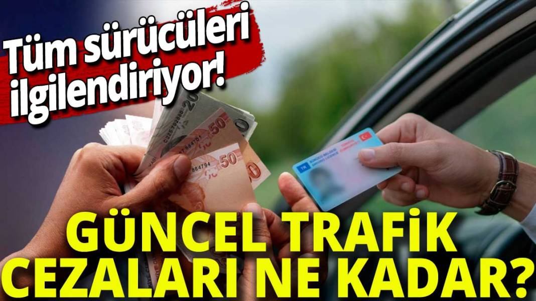 Tüm sürücüleri ilgilendiriyor: Güncel trafik cezaları ne kadar? 1