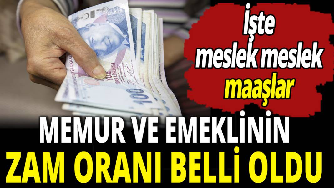 Memur ve emeklinin zam oranı belli oldu! İşte meslek meslek maaşlar 1