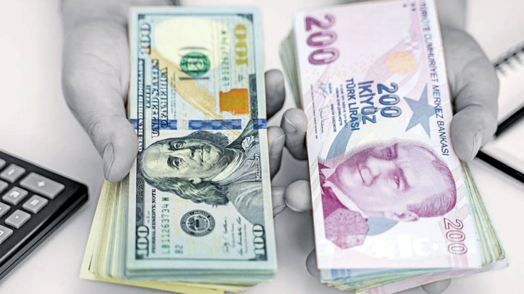 Dolar hesabı olanlara ecel teri döktüren açıklama Ünlü profesör 'kur krizi 'dedi 8