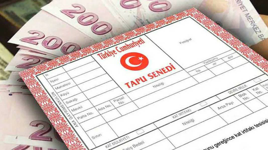 Tapuda kritik detay ortaya çıktı! Birçok kişi bunu bilmiyor 8