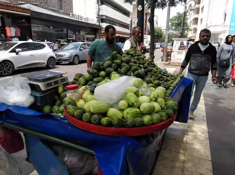 Susuz yetişiyor, kapış kapış gidiyor: Tanesi 10, kilosu 70 lira. Sağlığa faydaları saymakla bitmiyor 3