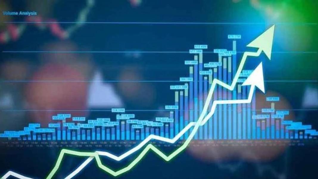 Ekonomist Hayri Kozanoğlu uyardı: Ekonomi durma noktasına gelebilir 10