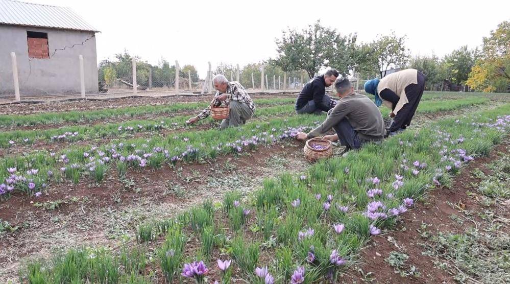 Gramla satıyor paraya para demiyor! 2 ayda nasıl zengin olduğunu anlattı 3