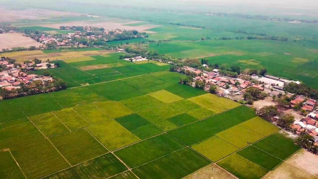 O evler tek tek yıkılacak: Talimat verildi harekete geçildi 6