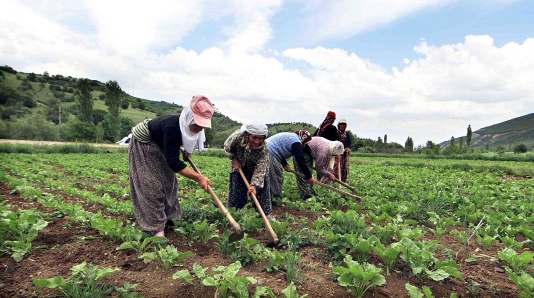 Bakan Yumaklı müjdeyi duyurdu: Hesaplarınızı hemen kontrol edin 1