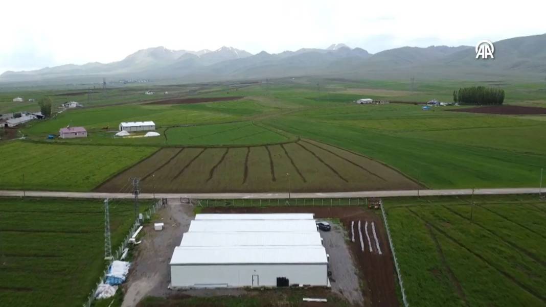 İnternetten araştırdı, devletten 3 milyon hibe alıp bu işe girdi:  Şimdi 45 günde 18 ton üretiyor 3