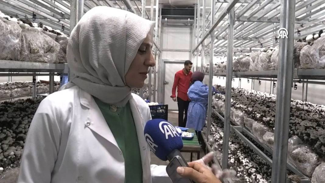 İnternetten araştırdı, devletten 3 milyon hibe alıp bu işe girdi:  Şimdi 45 günde 18 ton üretiyor 7