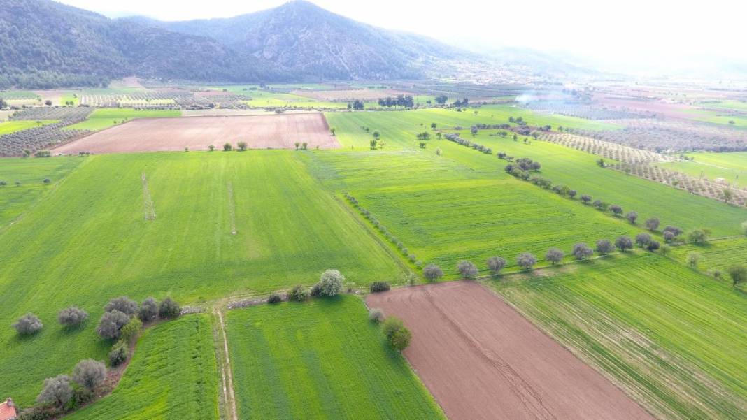 Ona yatırım yapan köşeyi döndü! Uzmanı kritik ipuçlarını verdi 5