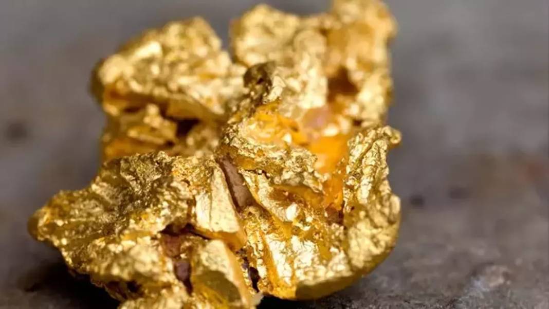 Fiyatı altını dahi geçti: Son 5 yılda yüzde 233 değerlendi 10