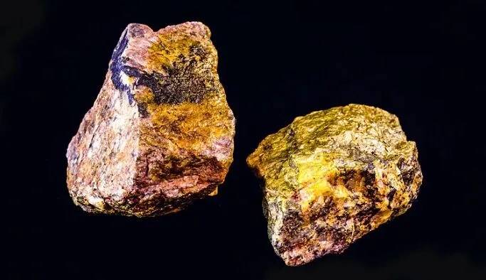 Fiyatı altını dahi geçti: Son 5 yılda yüzde 233 değerlendi 11