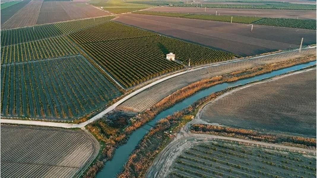 Yabancılar gözünü o ilimize dikti: Kapış kapış satın alıyorlar 8