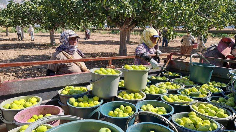 Hasadı başladı, rakip tanımıyor: Ekonomik avantajı da çok fazla 1