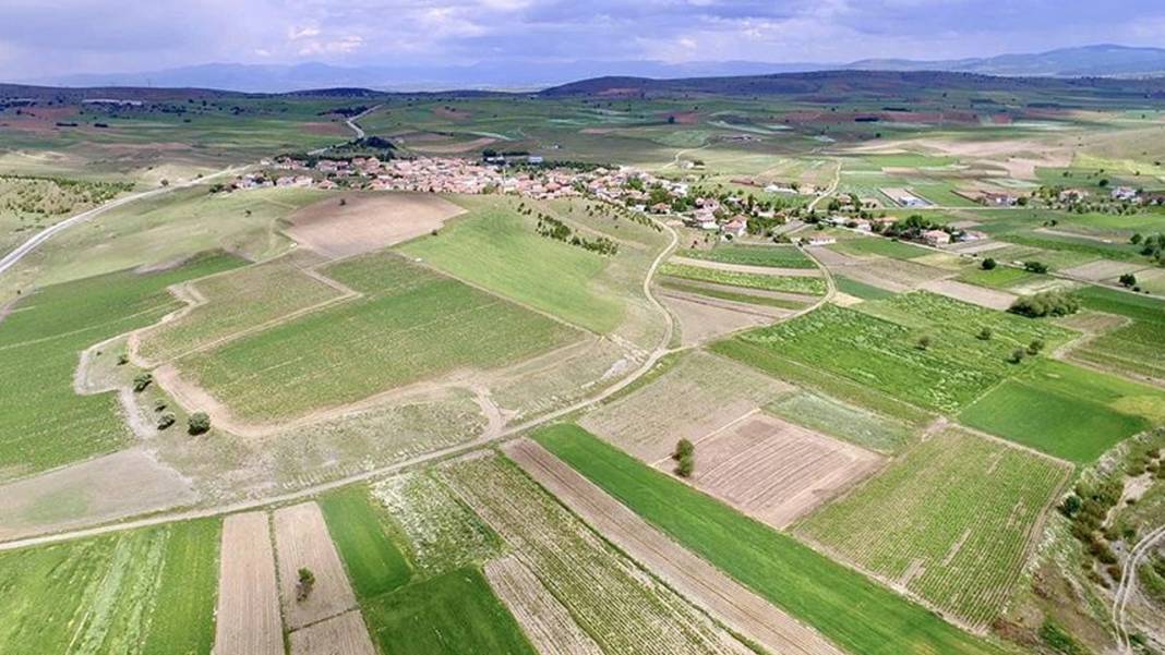 Yabancılar gözünü o ilimize dikti: Kapış kapış satın alıyorlar 7