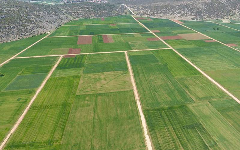 Yabancılar gözünü o ilimize dikti: Kapış kapış satın alıyorlar 6