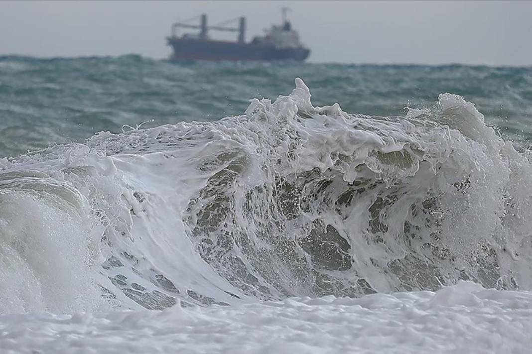 Marmara Denizi komada! Korkunç tehlike gün yüzüne çıktı 8