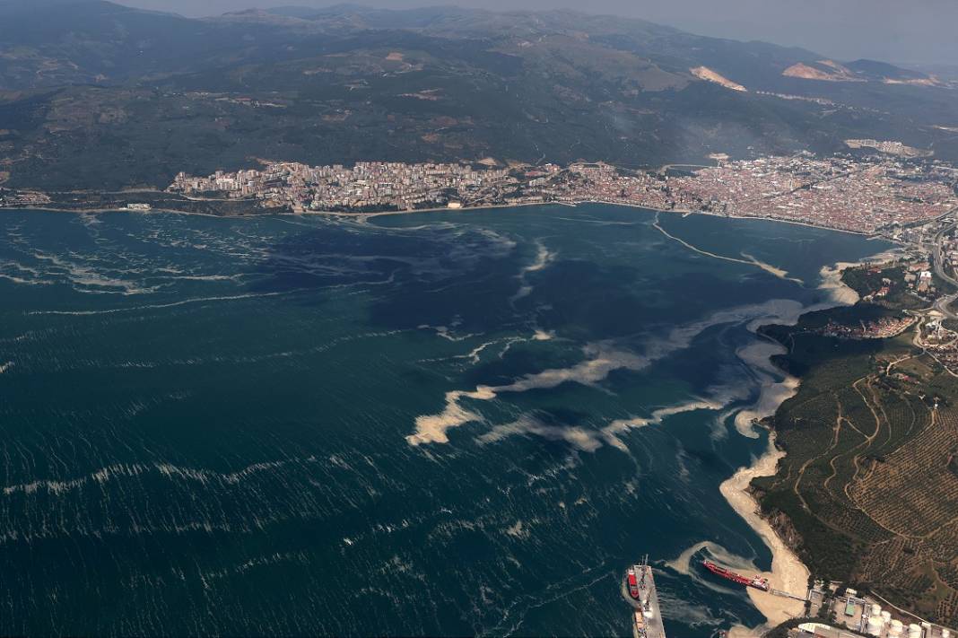 Marmara Denizi komada! Korkunç tehlike gün yüzüne çıktı 6