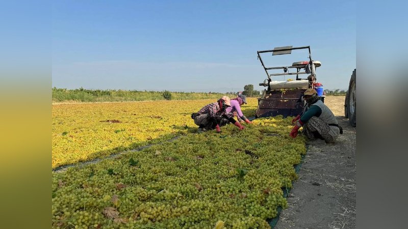 12 aylık emekte son dönemeç: 500 milyon dolar getiriyor 4
