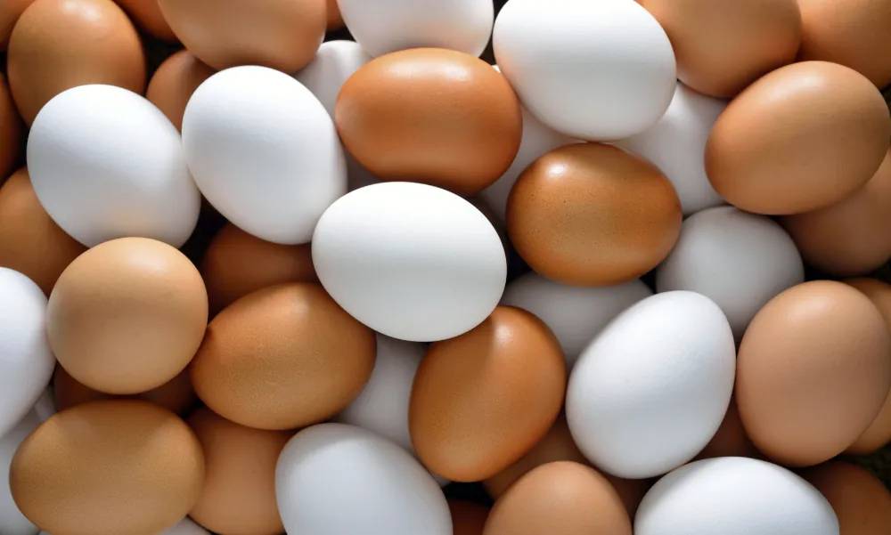 Yumurta fiyatlarına zam: İşte yeni fiyatlar 2