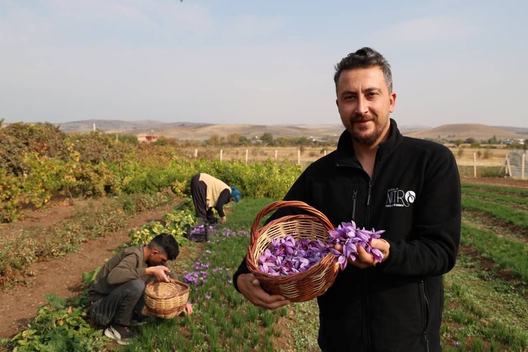 Mühendisliği bıraktı, bahçesine ekti: Gramını 200 TL’den satarak köşeyi döndü 1