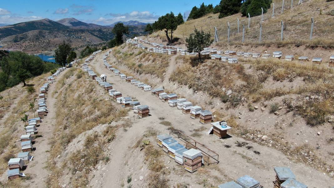 Binbir zahmetle üretiliyor: Sağlık deposunun 100 gramı 2 bin 500 TL’den alıcı buluyor 8