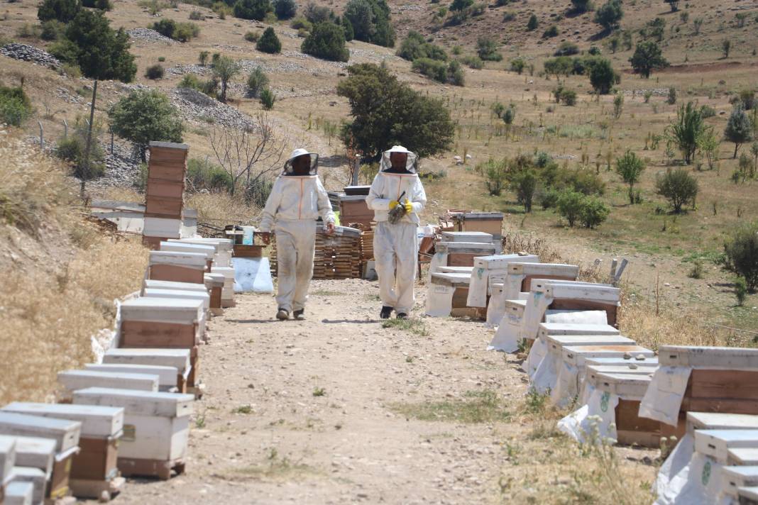 Binbir zahmetle üretiliyor: Sağlık deposunun 100 gramı 2 bin 500 TL’den alıcı buluyor 6