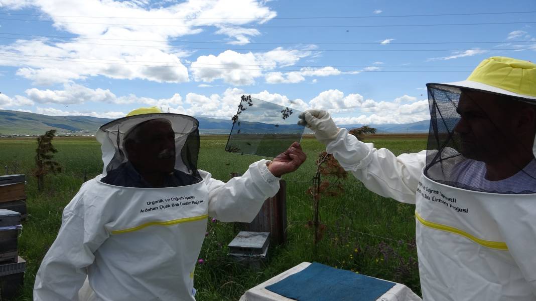 Hobi olarak dede mesleğine başladı, servet kazandı: Kilosu 100 bin dolara gidiyor 10