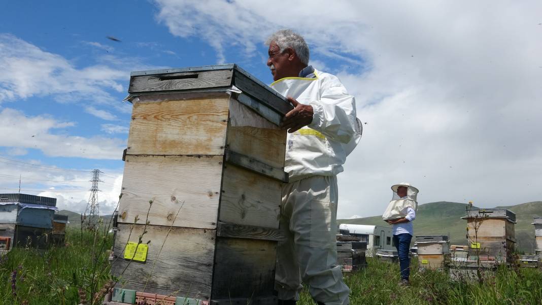 Hobi olarak dede mesleğine başladı, servet kazandı: Kilosu 100 bin dolara gidiyor 6