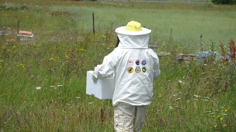 Hobi olarak dede mesleğine başladı, servet kazandı: Kilosu 100 bin dolara gidiyor 2