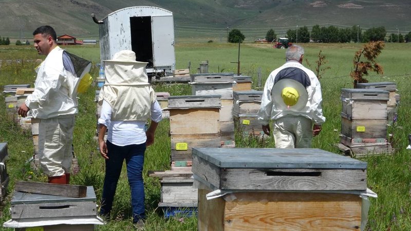 Hobi olarak dede mesleğine başladı, servet kazandı: Kilosu 100 bin dolara gidiyor 1