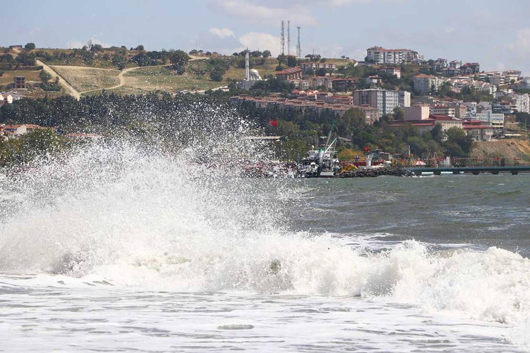 Marmara Denizi komada! Korkunç tehlike gün yüzüne çıktı 9