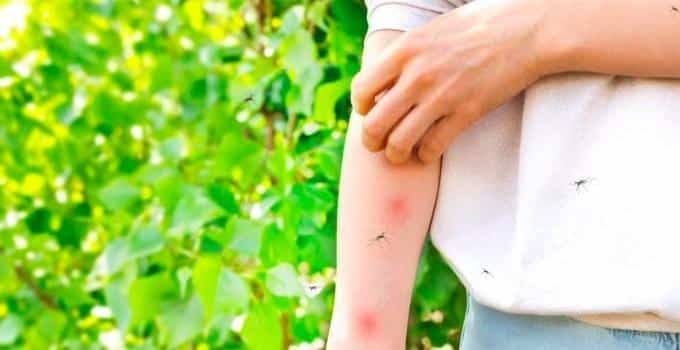 Türkiye’de de görüldü: İstanbul ve Bursa'dan vakalar geldi 5