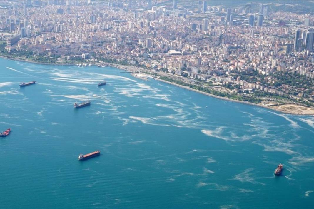 Marmara Denizi komada! Korkunç tehlike gün yüzüne çıktı 2